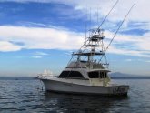 Sea Fishing Trips North West