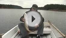 Pike fishing in Finland /Fishing around Kustavi area